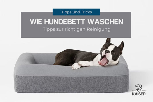 Hundebett waschen