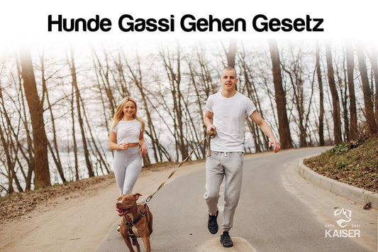 Hund Gassi-Gesetz