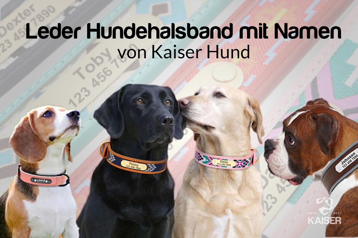  Kaiser Hund®️ Hundehalsbänder aus Leder mit Namen