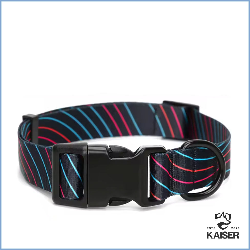 Designer Hundehalsband aus Nylon personalisiert