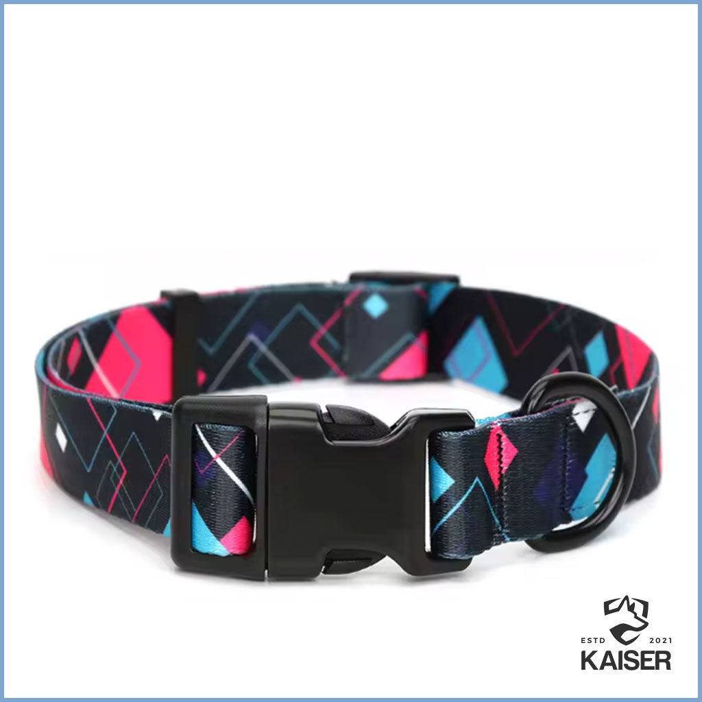 Hundehalsband aus Nylon personalisiert