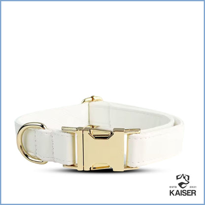 Elegantes weißes Hundehalsband mit Namen