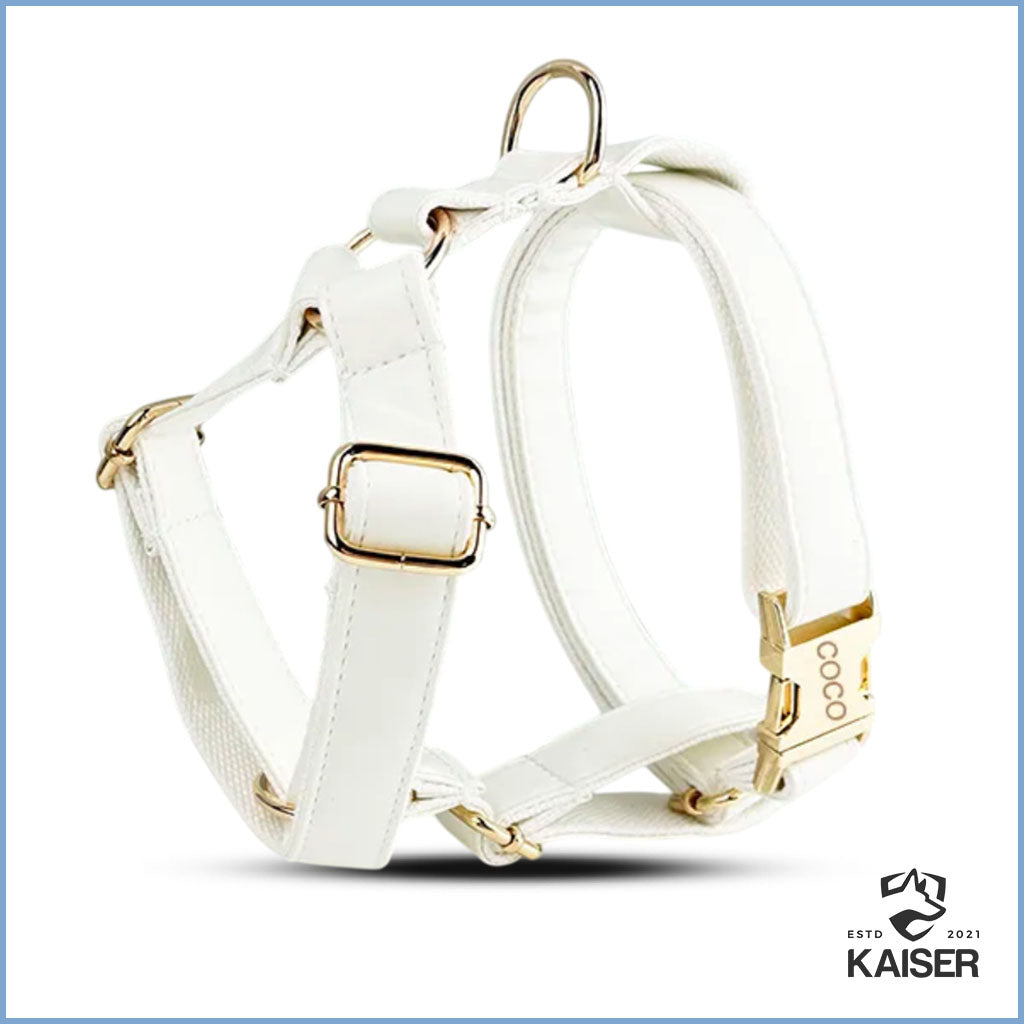 Elegantes weißes Hundegeschirr mit Namen