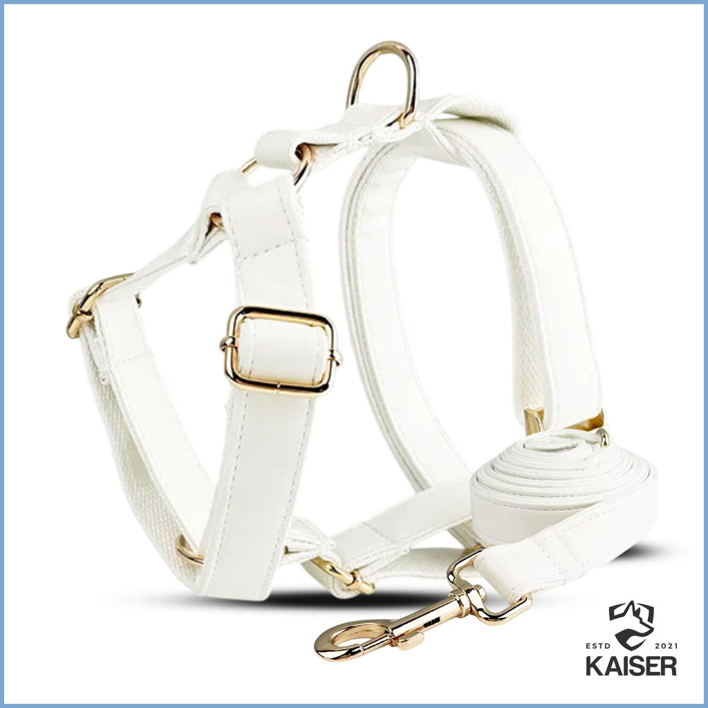 Elegantes weißes Hundegeschirr und Leine Set