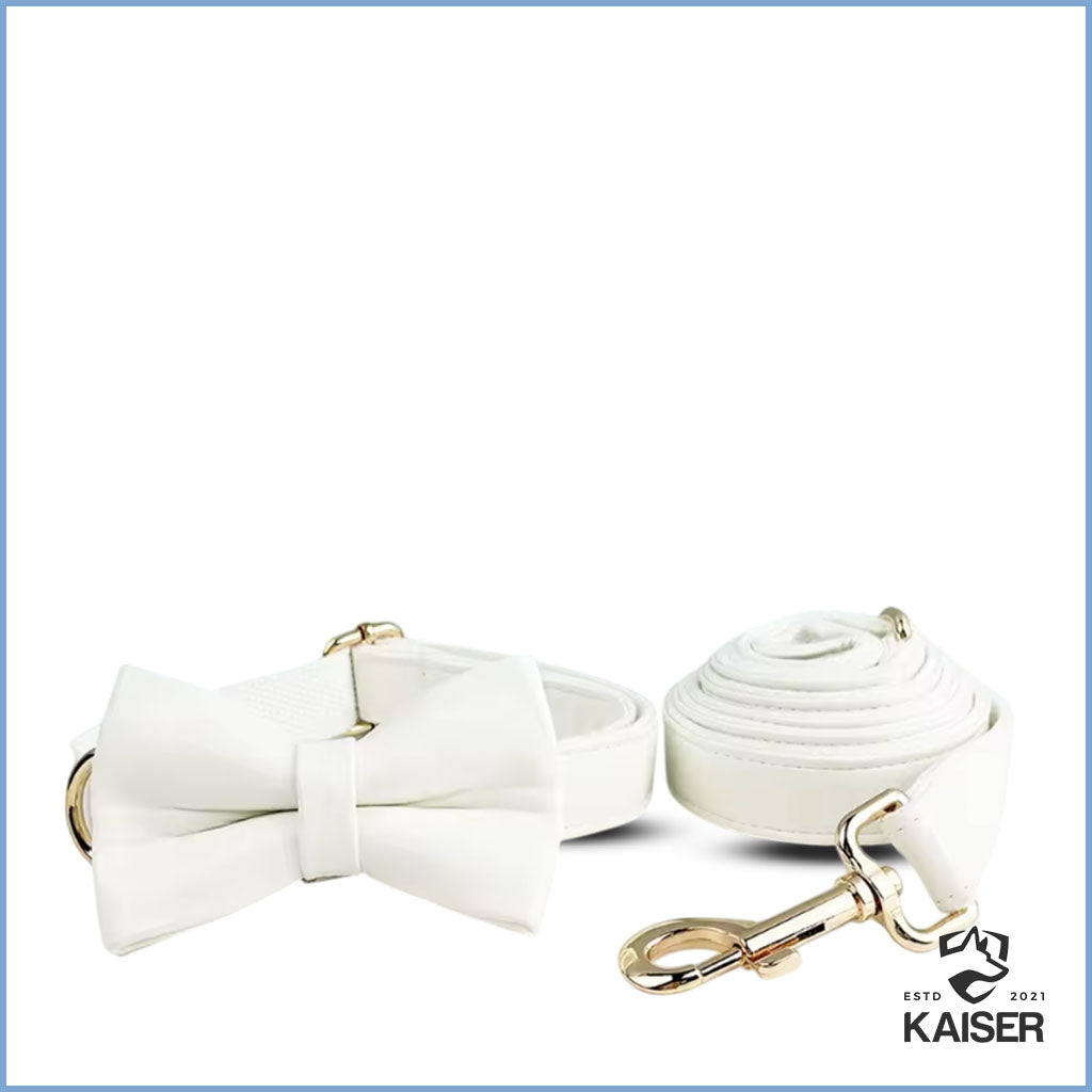 Elegantes weißes Hundehalsband mit Fliege und Leine Set