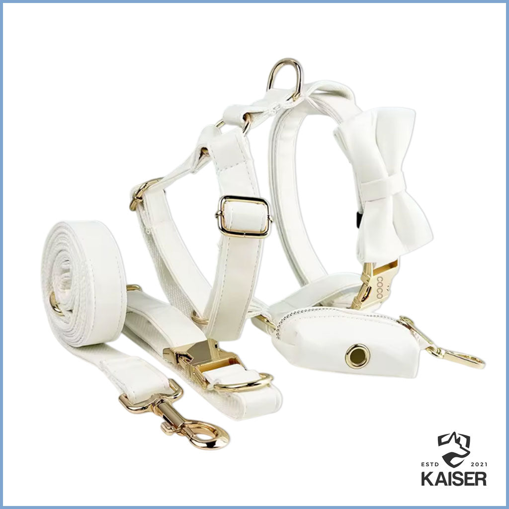 Elegantes weißes 5-teiliges Set für Hunde - Halsband, Geschirr, Leine, Fliege und Kotbeutel