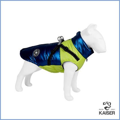 Blaue Hunde Winterjacke mit Geschirr