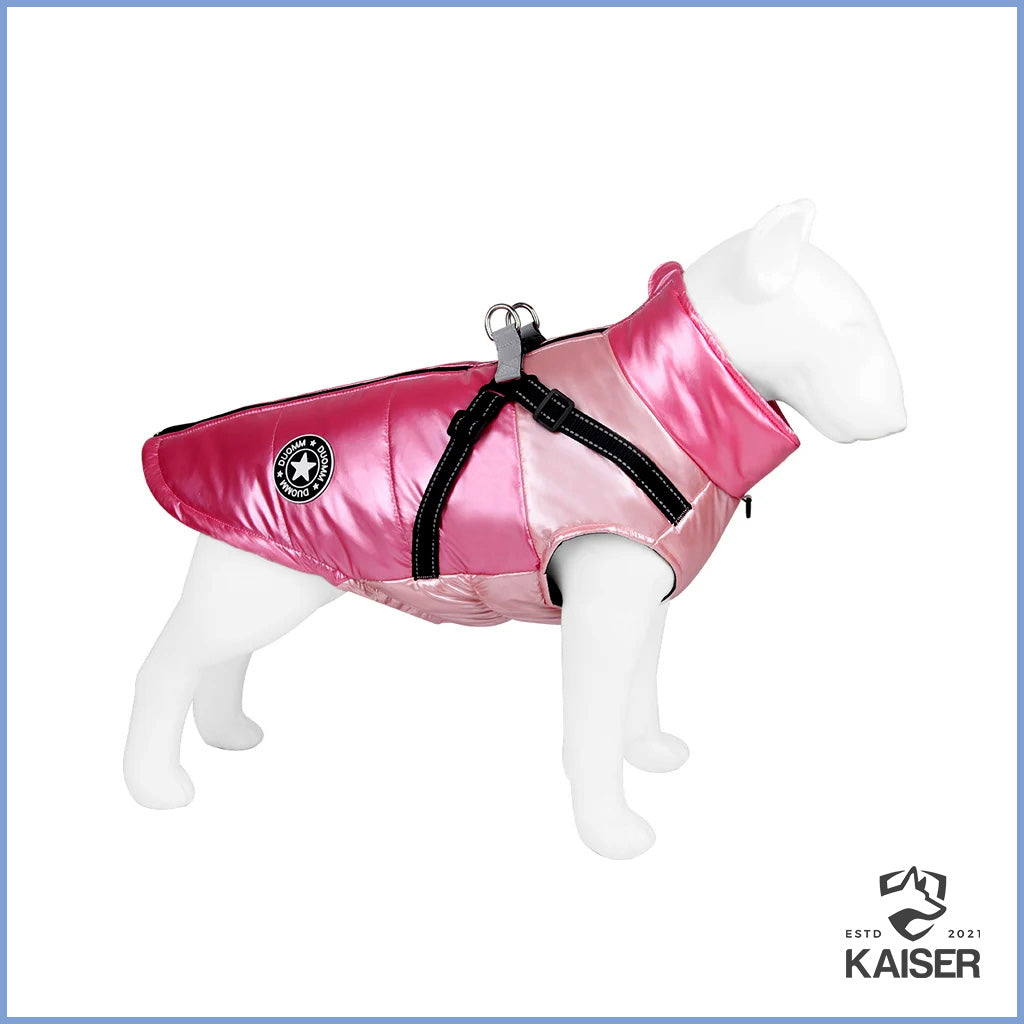 Rosa Hunde Winterjacke mit Geschirr