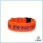 Besticktes reflektierendes Hundehalsband orange Farbe