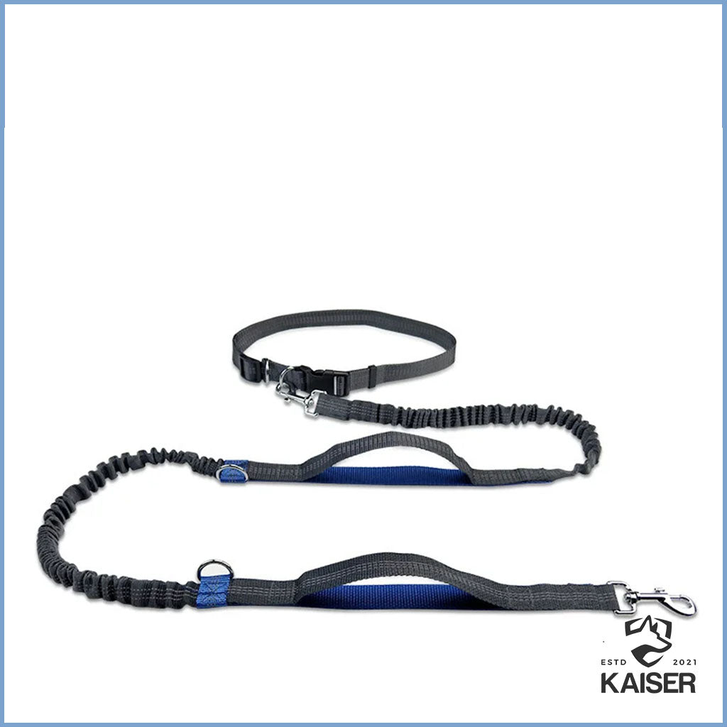 Jogging Hundeleine für freihändiges Gassi-Laufen – Kaiser Hund