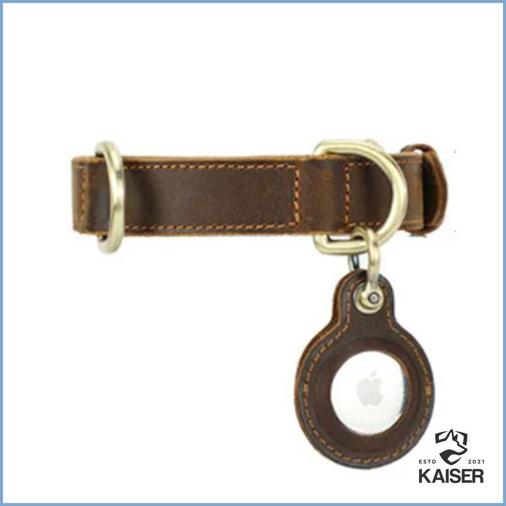 Hundehalsband aus Leder mit AirTag Halterung