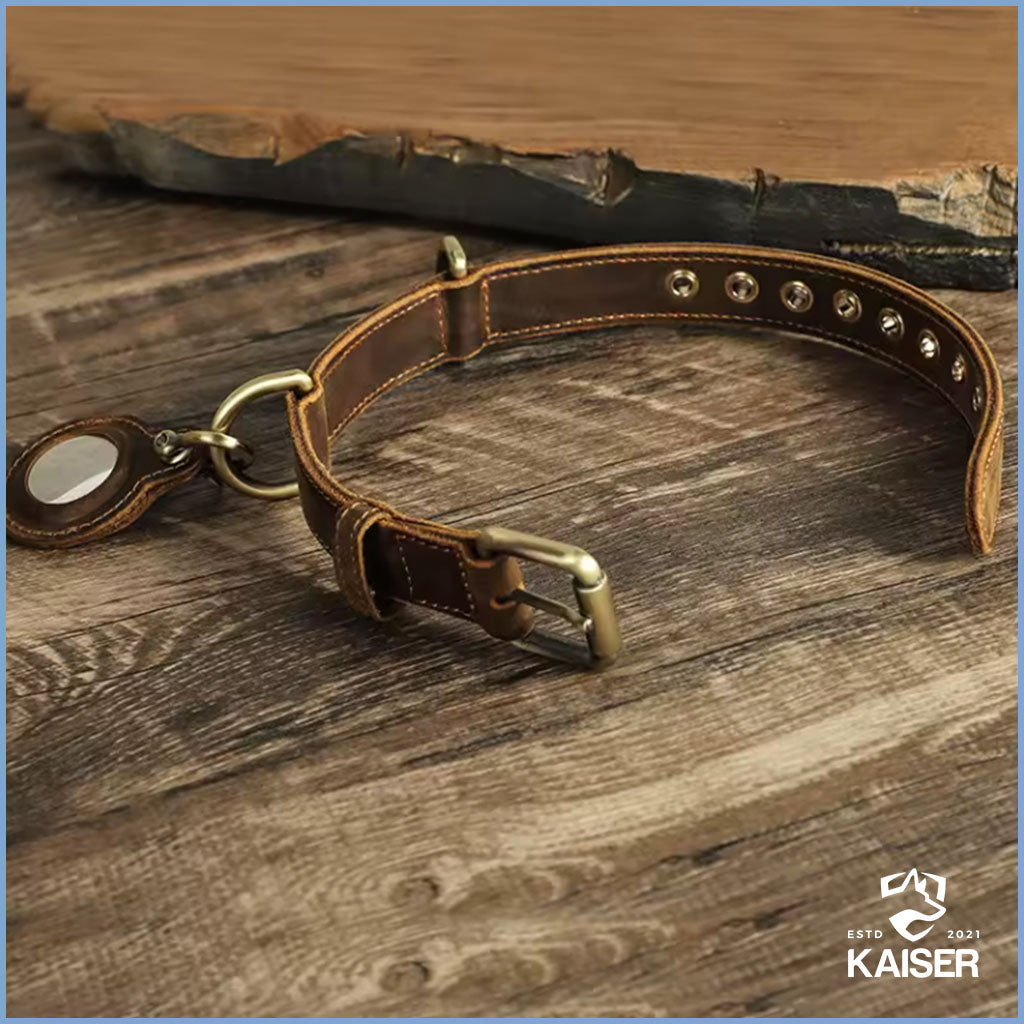 Halsband für Hunde aus echten Leder mit AirTag Halterung
