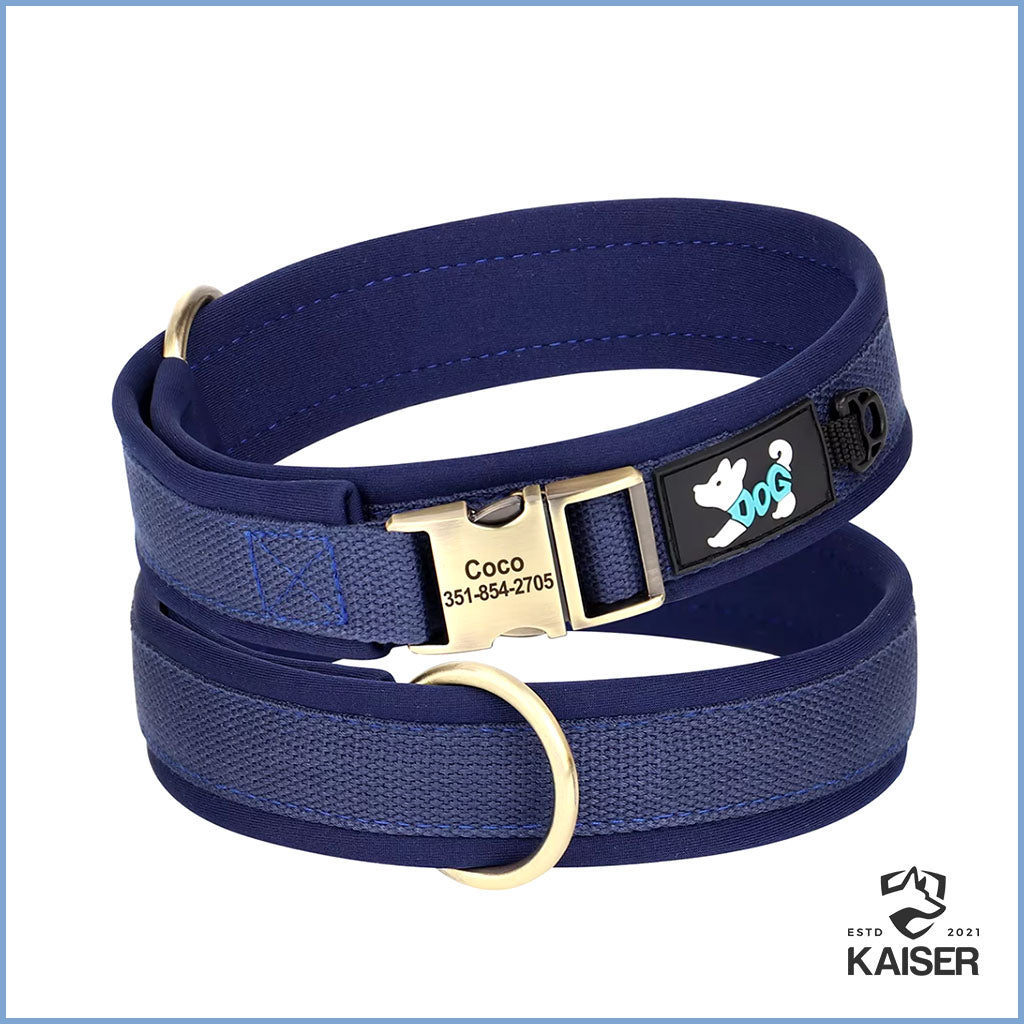 Nylon Hundehalsband mit Namen gepolstert blau