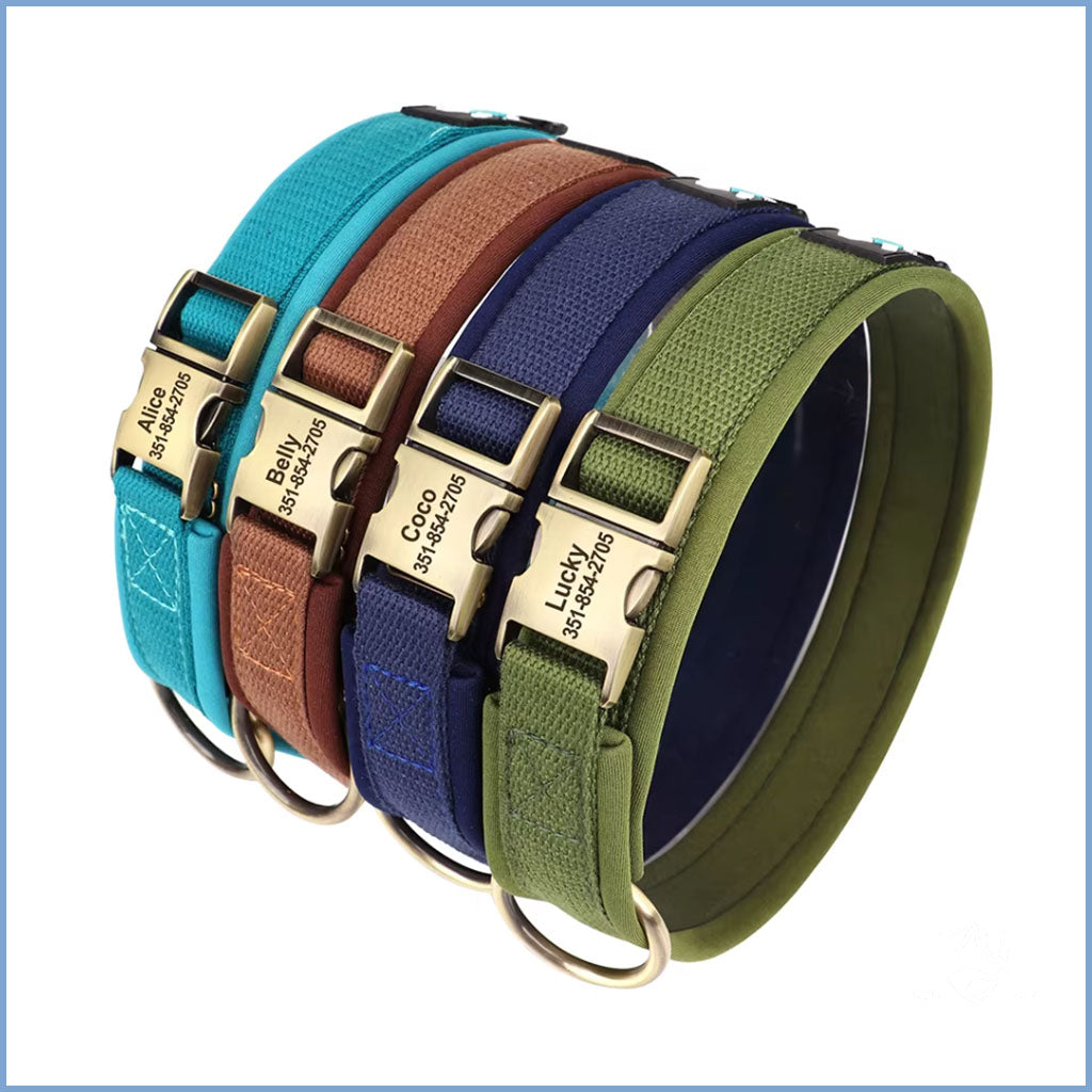 Gepolstertes Nylon Hundehalsband mit Namen 