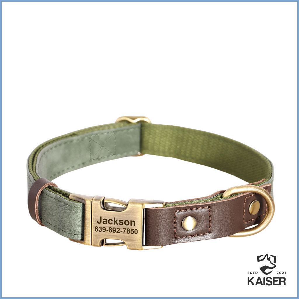 Personalisiertes Hundehalsband grün aus PU-Leder mit Gravur