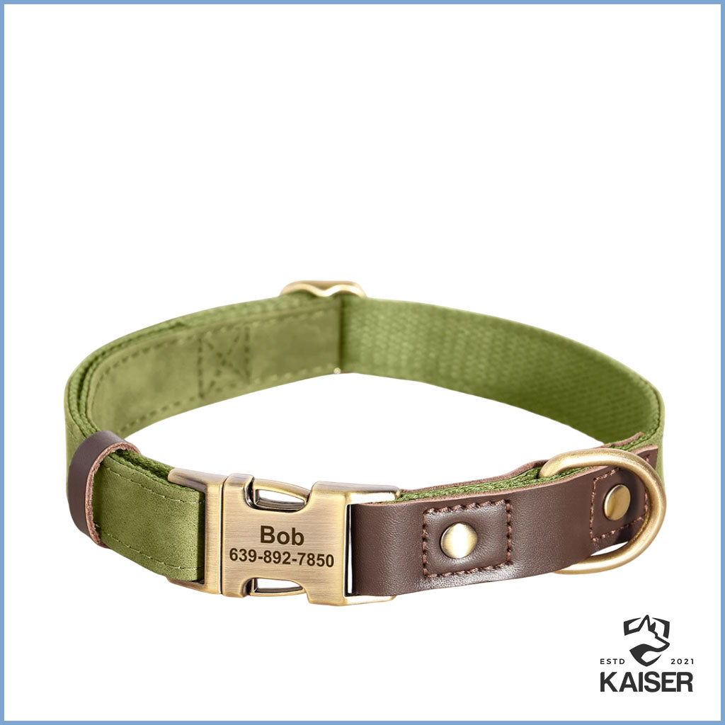 Personalisiertes Hundehalsband hellgrün aus PU-Leder mit Gravur