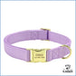 Personalisiertes Hundehalsband Lila