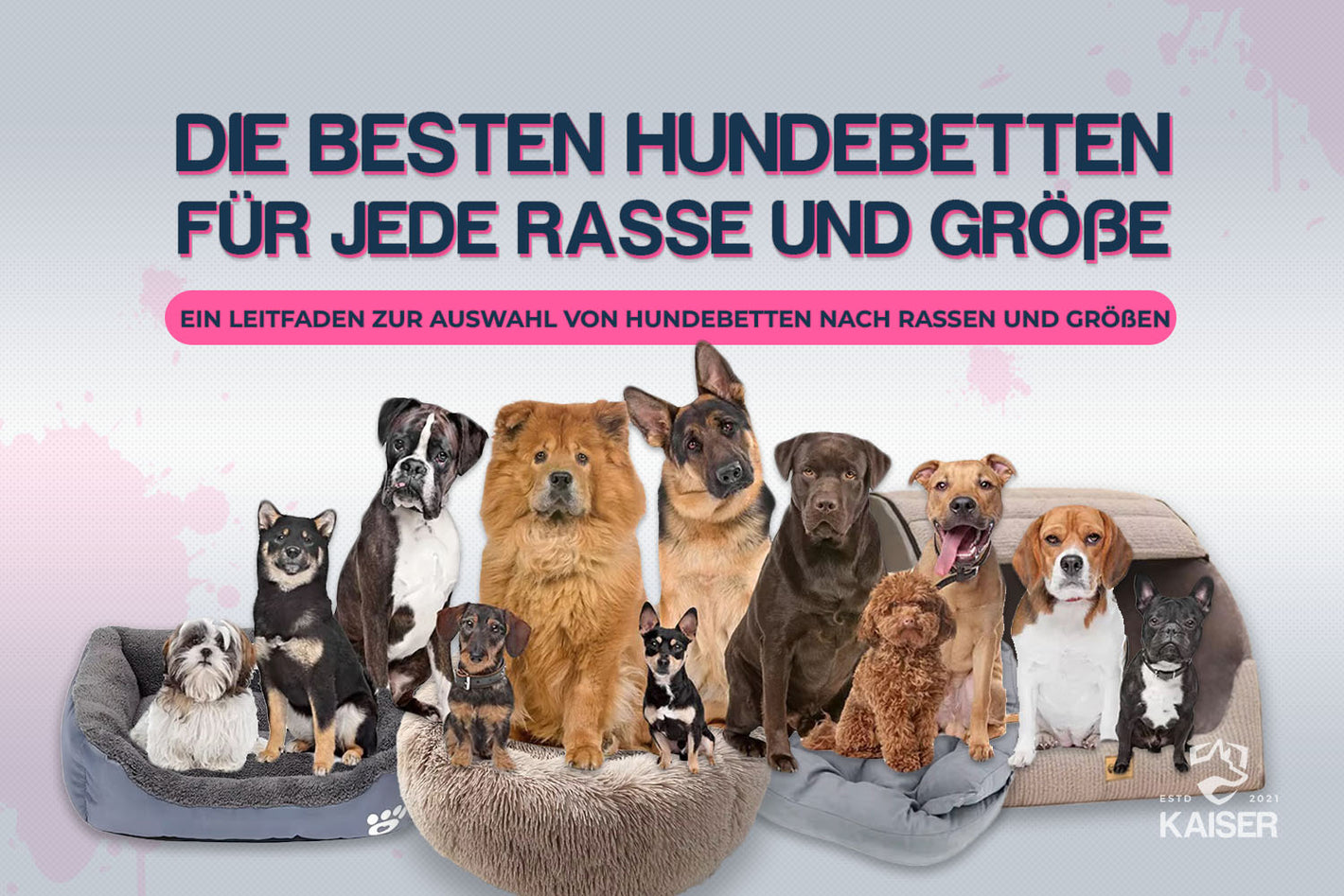 Wie groß sollte ein Hundebett sein