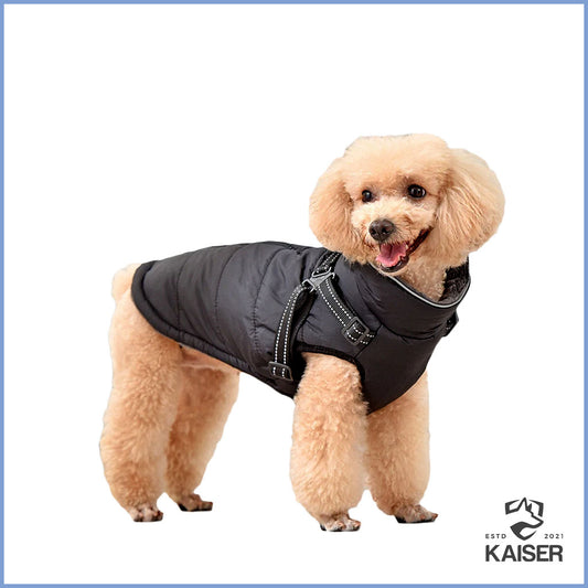 Winterjacke für kleine Hunde