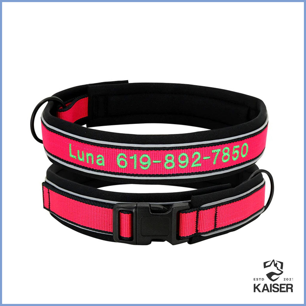Didog Personalisiertes Hundehalsband  Reflektierend, Verstellbar, Mit Namen,  Kunstleder (XS/S/M) Halsband Hund Mit Namen