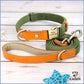 Grün-orange Hundehalsband und Leine personalisiert mit dem Namen eines Hundes und einer Telefonnummer.